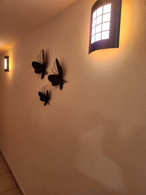 Ferienwohnung Departamento De Lujo. Seguridad 24. Playa A Pasos. Acapulco Exterior foto